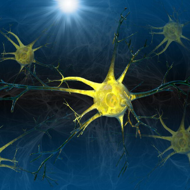 STAT+: In small trial, optogenetics restores some vision lost to retinitis pigmentosa