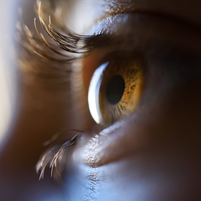 STAT+: Life Biosciences share glaucoma study updates for its cellular reprogramming drug