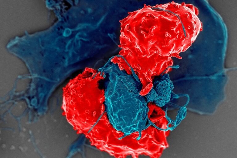 trrexbio’s-ipo-bags-$116m-to-bring-the-immune-system-back-into-balance