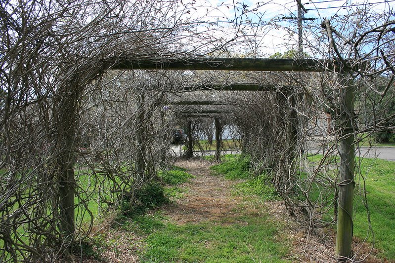 Startup Arboretum Sprouts, Bringing a Precision Medicine Approach to Common Diseases