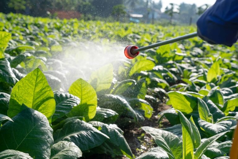 pesticide-exposure-linked-to-stillbirth-risk-in-new-study