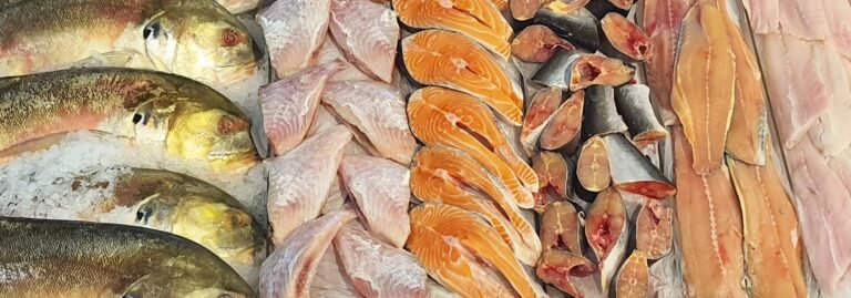 new-model-could-help-provide-expectant-mothers-a-clearer-path-to-safe-fish-consumption