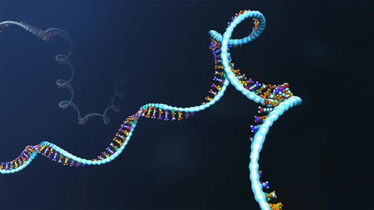 nih-invites-press-to-discuss-new-investments-in-rna-research