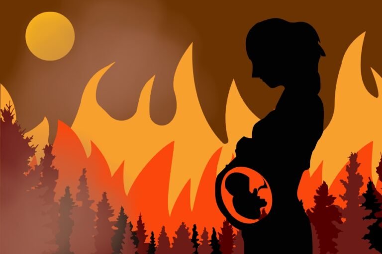 exposure-to-wildfire-smoke-during-pregnancy-increases-risk-of-preterm-birth