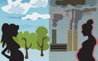 Air Pollution and Stress Alter Brains and Social Behavior of Male Mice