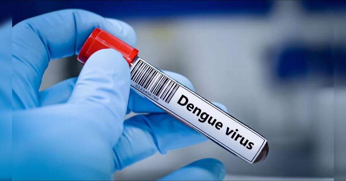 Delhi records 799 dengue, 294 malaria cases so far this year