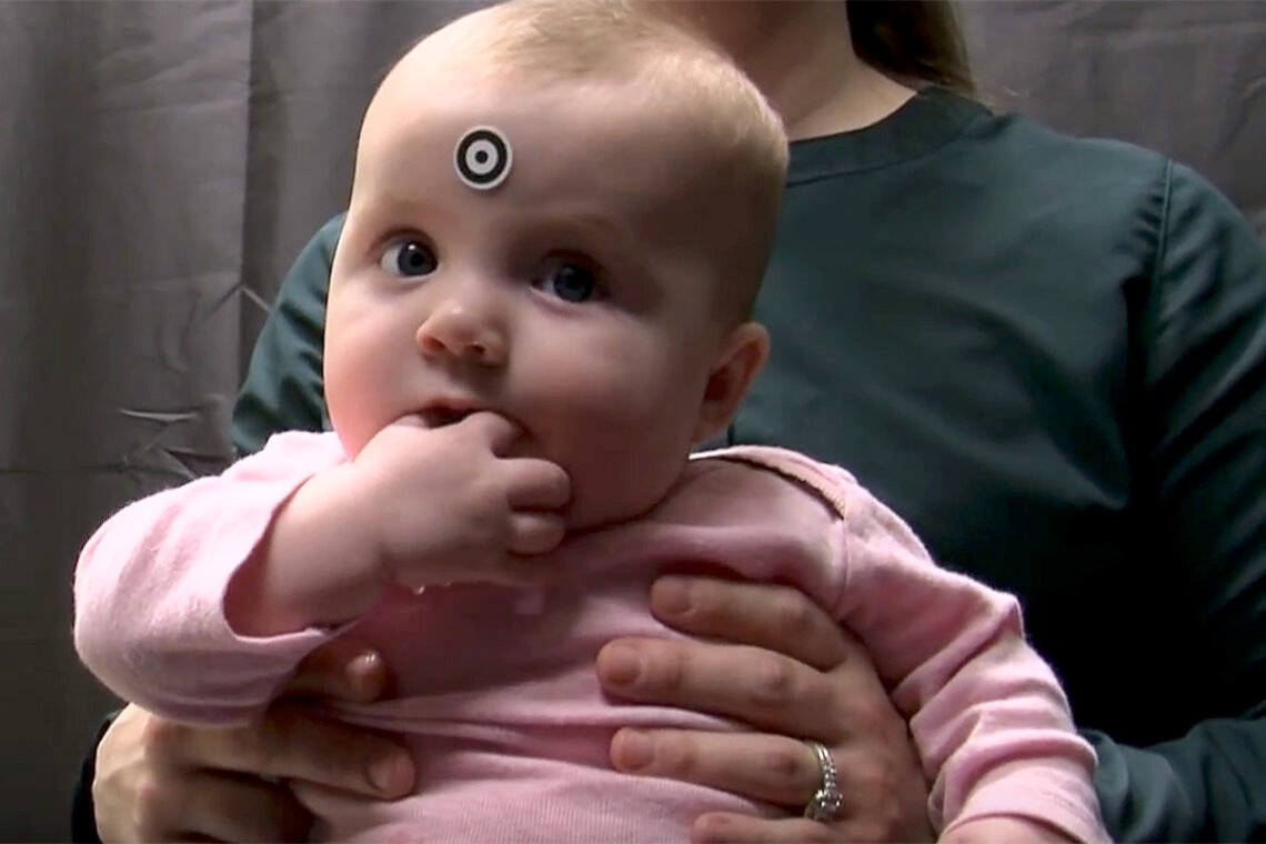 Study Links Prenatal Phthalate Exposure to Altered Information Processing in Infants