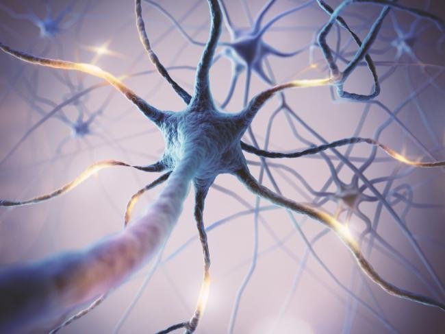 NIH Announces New Transformative Research Award Program for ALS