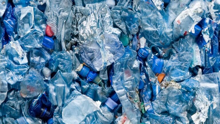 plasticizers-may-contribute-to-motor-control-problems-in-girls
