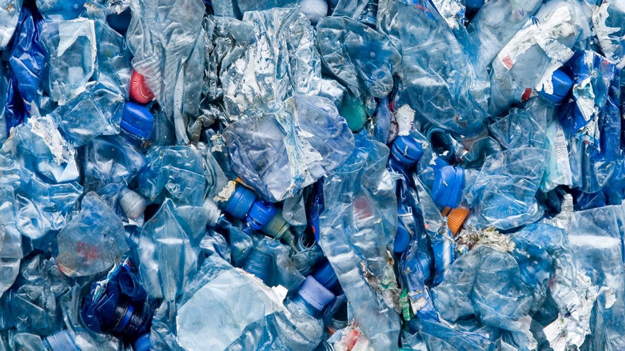 Plasticizers May Contribute to Motor Control Problems in Girls