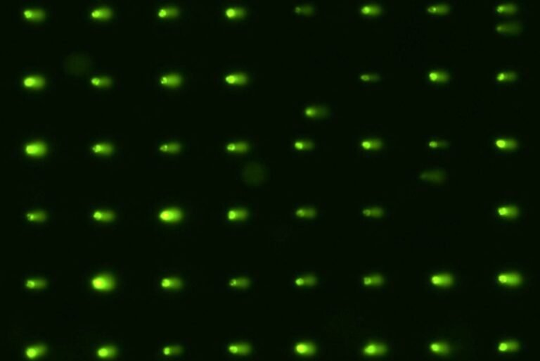 screen-could-offer-better-safety-tests-for-new-chemicals