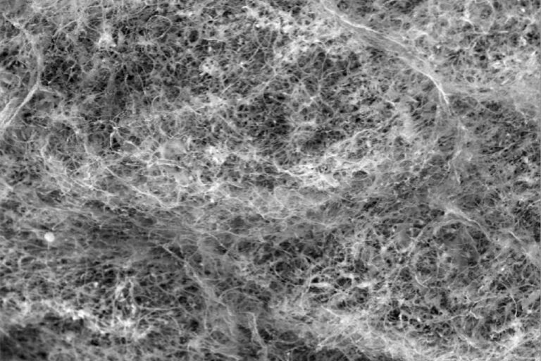 study-reveals-how-mucus-tames-microbes